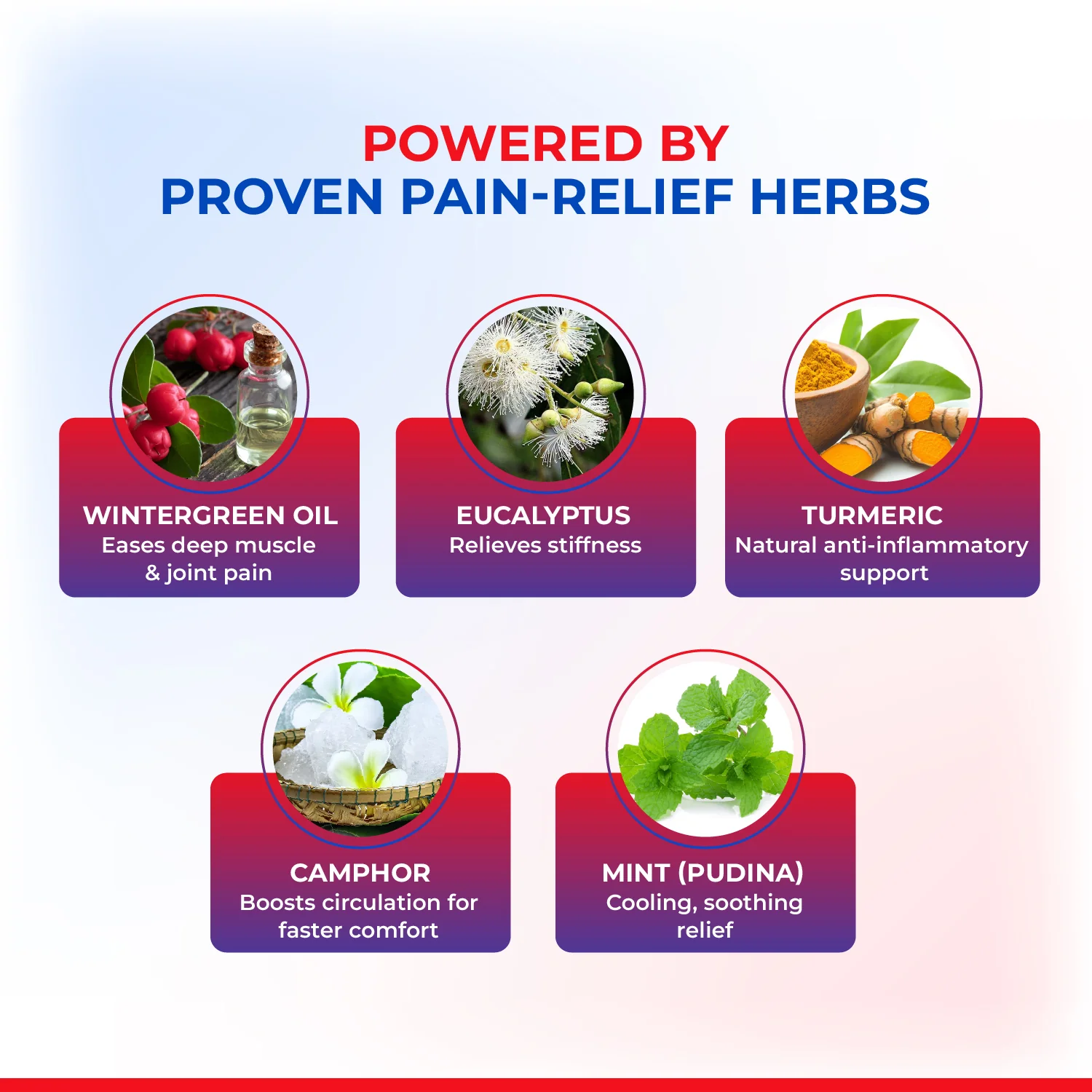 Kwik Pain Relieving Oil - Image 4
