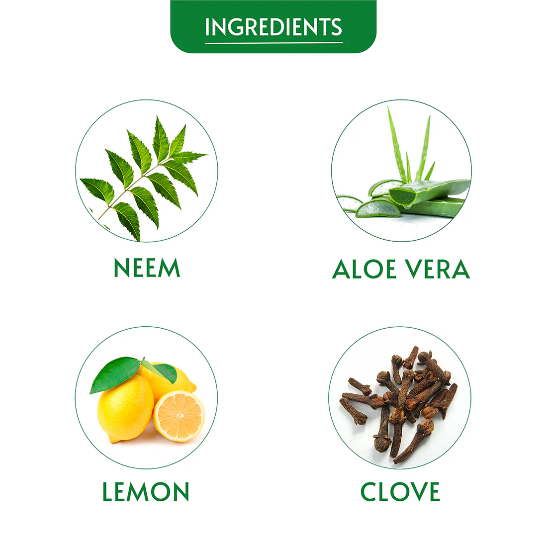 Neem Face Wash - Image 4